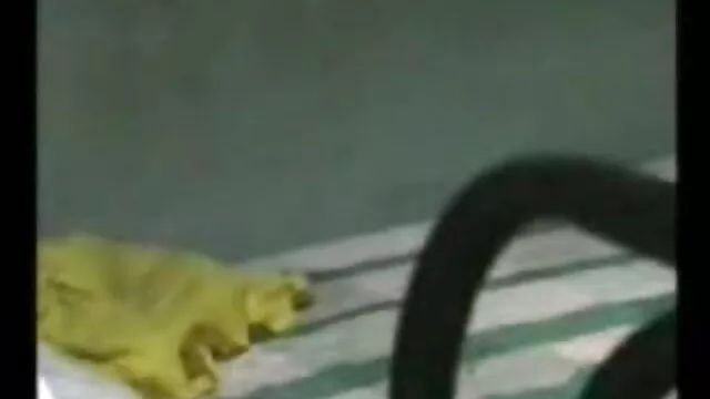 కుమారుడు నా తల్లి ని ... - 05:35 min
