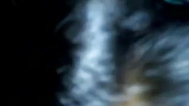త్రయం యొక్క యువ తెలు ... - 02:28 min