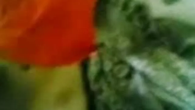 స్టూడెంట్ తరగతి గురు ... - 02:08 min