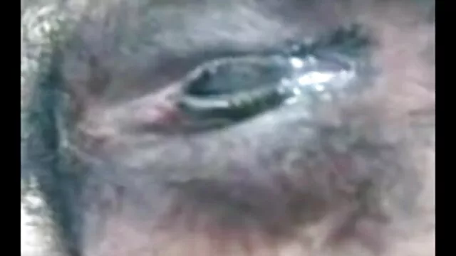 వీధి షాట్ థాయ్ గే పో ... - 03:25 min