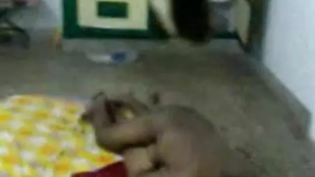 మెర్సిడెస్ భావాలని త ... - 05:57 min