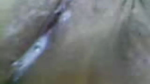 ఒక పెద్ద డిక్ సభ్యుడ ... - 01:42 min